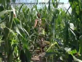 Riley jacobs কেলি মধ্যে corn ক্ষেত্র